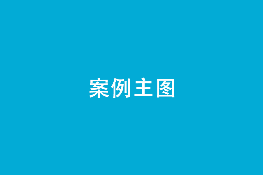 某某地区某某案例